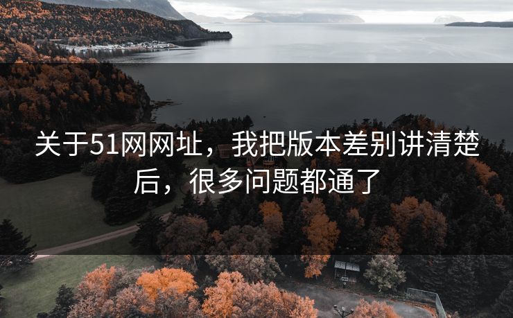 关于51网网址,我把版本差别讲清楚后,很多问题都通了